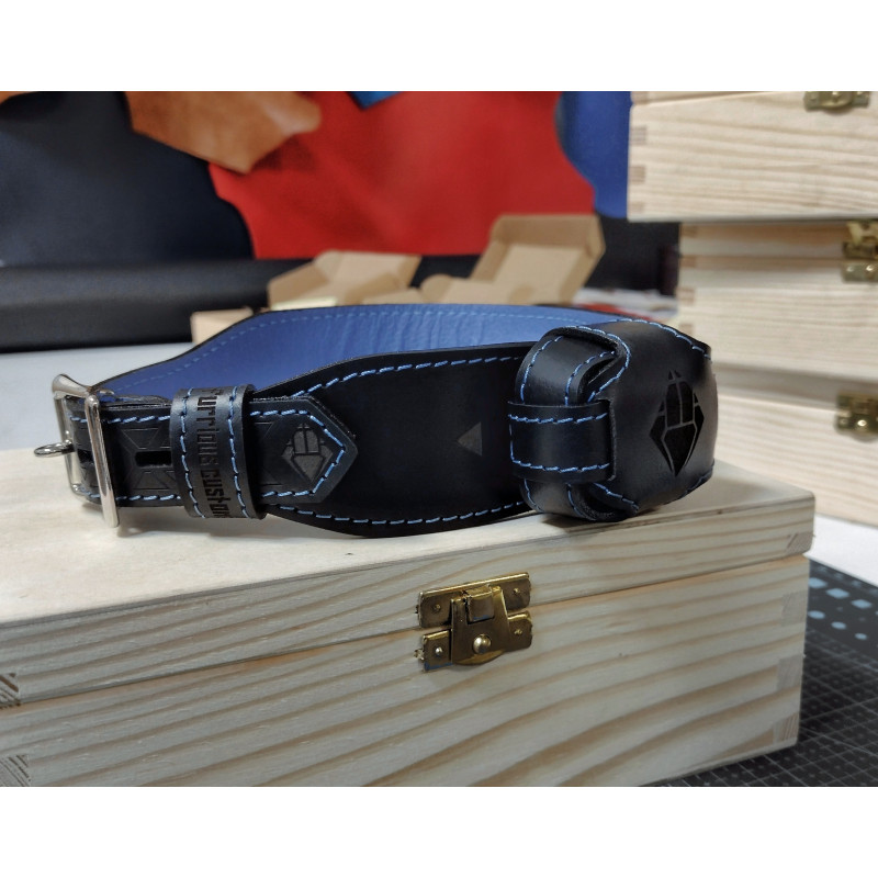 PiShock Genuine Leather Locking Shock Collar, Custom Puppy Training Estim, Wifi Electric Leather BDSM Toy