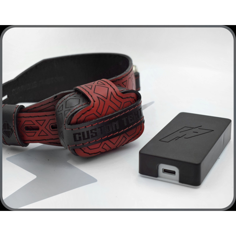 PiShock Genuine Leather Locking Shock Collar, Custom Puppy Training Estim, Wifi Electric Leather BDSM Toy