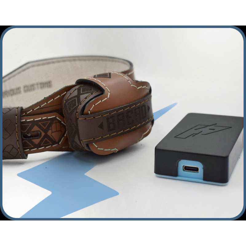 PiShock Genuine Leather Locking Shock Collar, Custom Puppy Training Estim, Wifi Electric Leather BDSM Toy