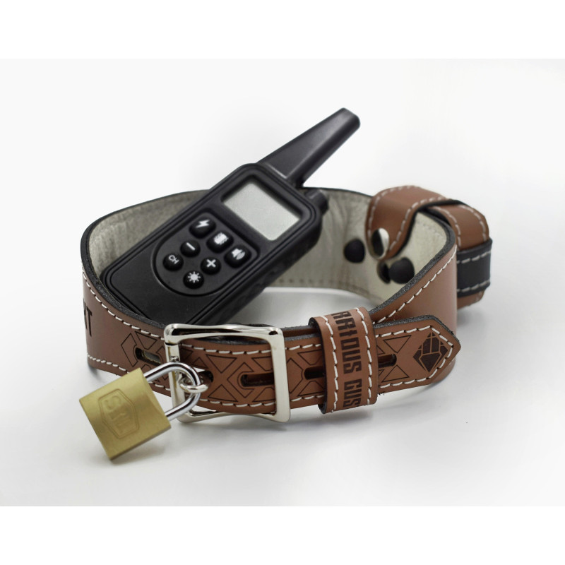 Genuine Leather Shock Collar, Custom Locking BDSM Training ECollar, Puppy Play, Padlock Included