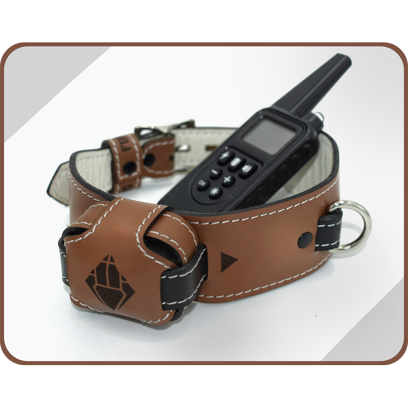 Genuine Leather Shock Collar, Custom Locking BDSM Training ECollar, Puppy Play, Padlock Included