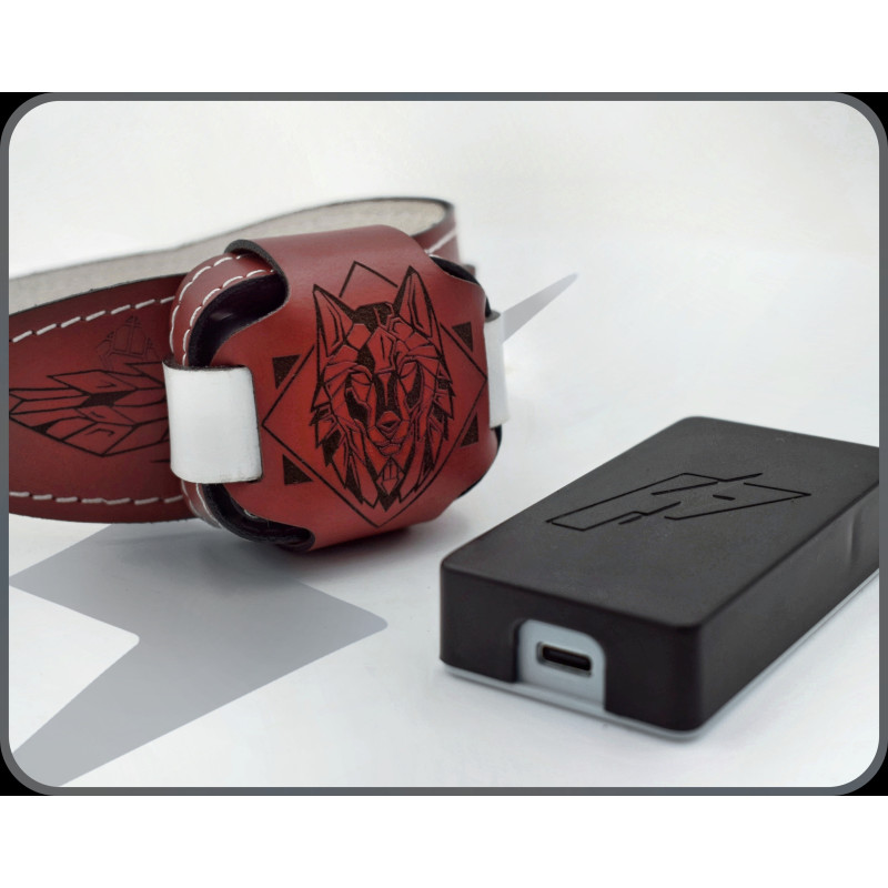 PiShock Premium Leather Shock Collar, Wifi Controlled Internet Electric Collar,BDSM Locking Collar, Luxury Puppy Play