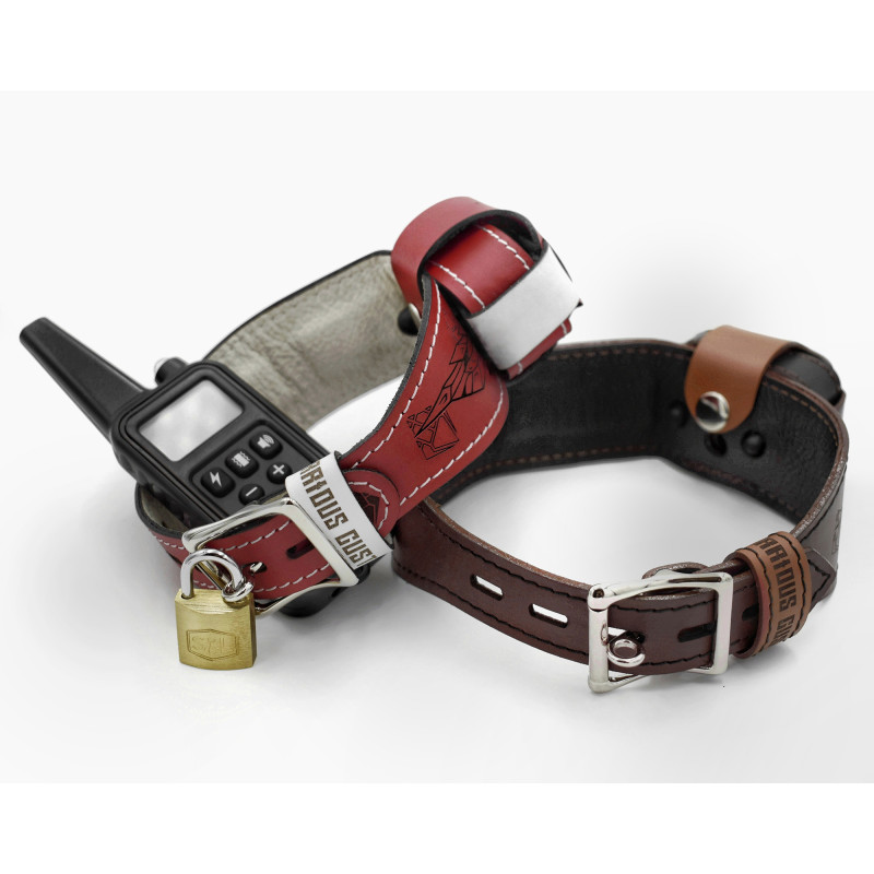 Leather Shock Collar, Custom BDSM Training Collar Handmade, Wolf Collar, Puppy Play, Lockable, Estim, E-collar Bear