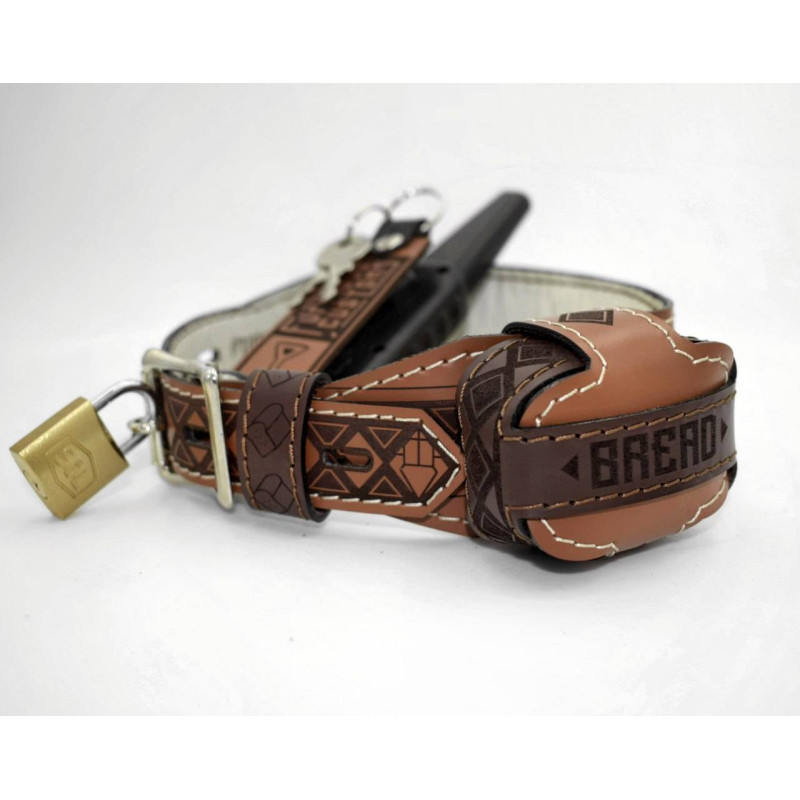 PiShock Premium Leather Shock Collar, Wifi Internet Puppy Gear, Engraved Custom BDSM Training Collar