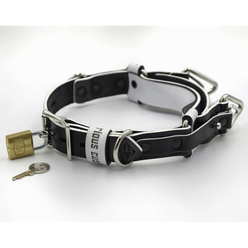 Leather Locking Choker, With a locking strap, Handmade Custom Choking Collar, BDSM Training Collar, Puppy Play