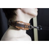 The Bread Collar For All Kinds of Breeding. BDSM Electric Leather Shock Collar. Handmade