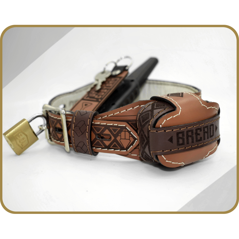 The Bread Collar For All Kinds of Breeding. BDSM Electric Leather Shock Collar. Handmade