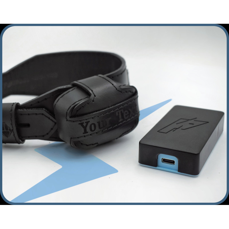 PiShock Edition Premium Leather Shock Collar, Lockable Black Electric Collar, Estim BDSM Training Collar