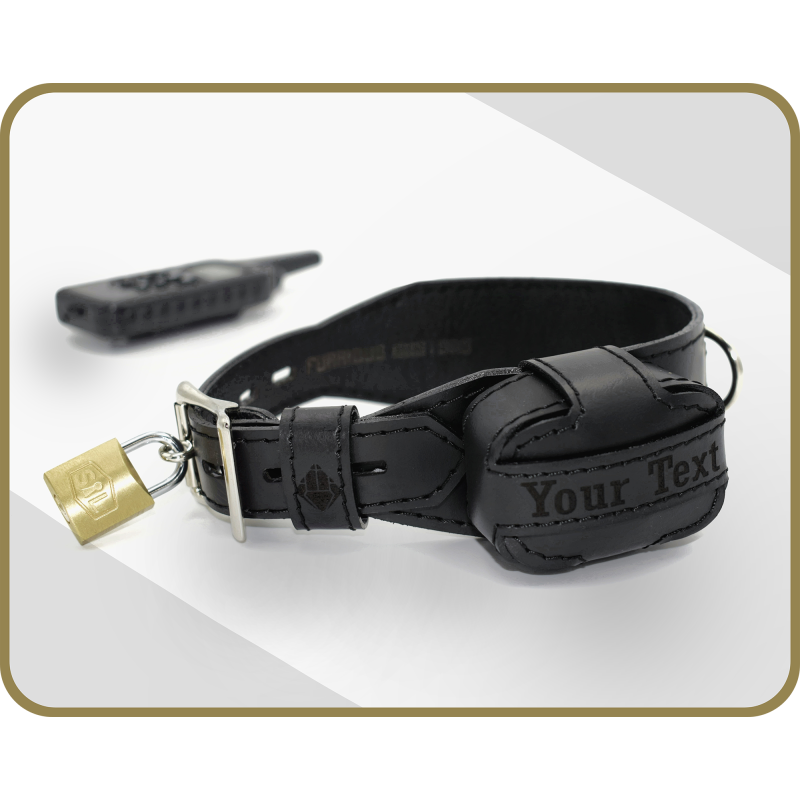 Handmade Genuine Leather Shock Collar, Clasic ECollar, Locking Custom Text BDSM Collar