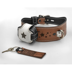 Premium Leather Shock Collar, Star Engraved Beautiful Handmade Estim Collar, Lockable BDSM Collar