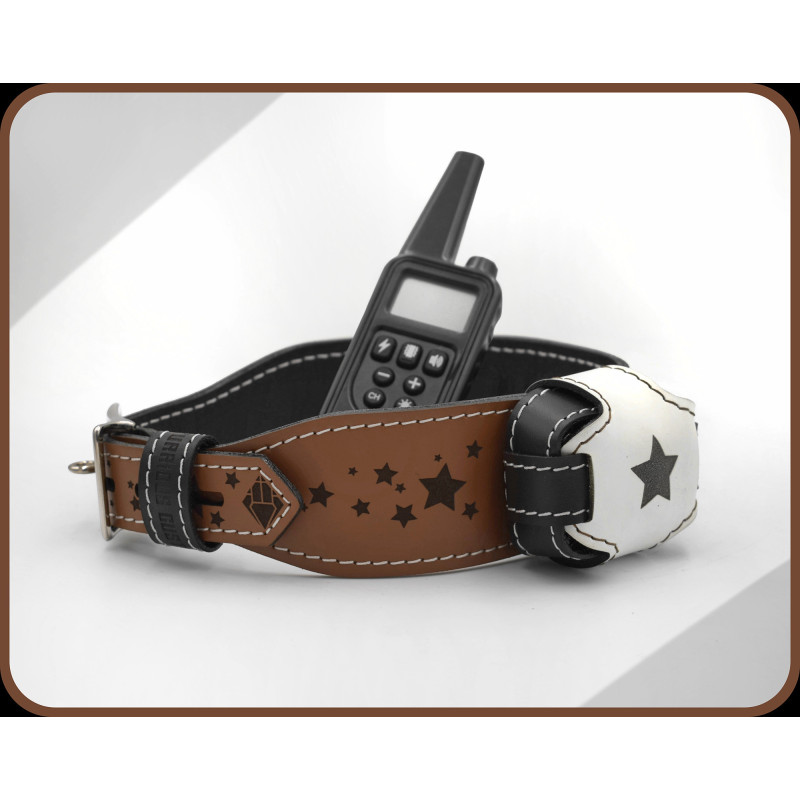 Premium Leather Shock Collar, Star Engraved Beautiful Handmade Estim Collar, Lockable BDSM Collar